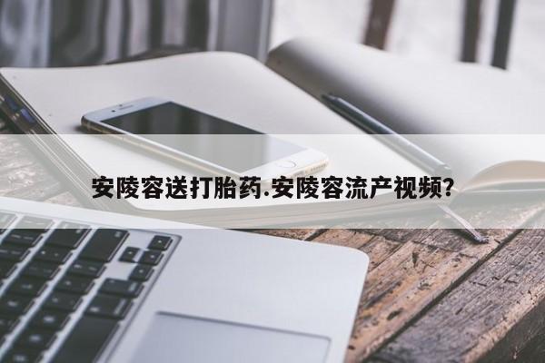 流产药叫什么名字微信怎么购买安陵容送打胎药.安陵容流产视频？