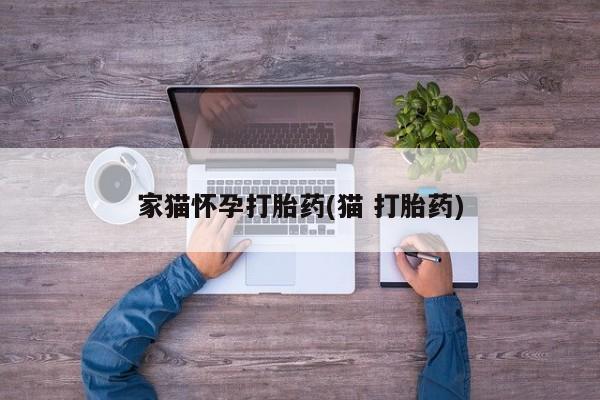 流产药叫什么名字微信怎么购买家猫怀孕打胎药(猫 打胎药)
